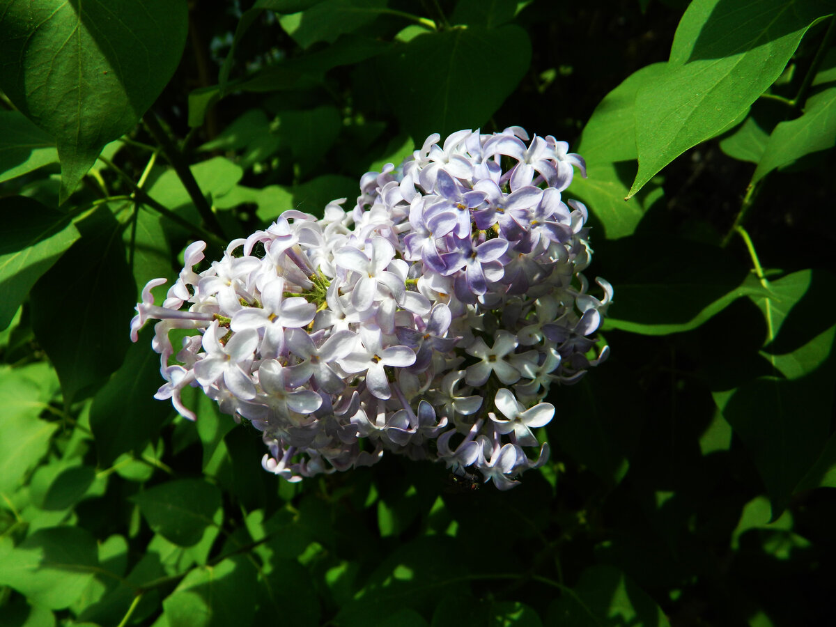 фото автора канала