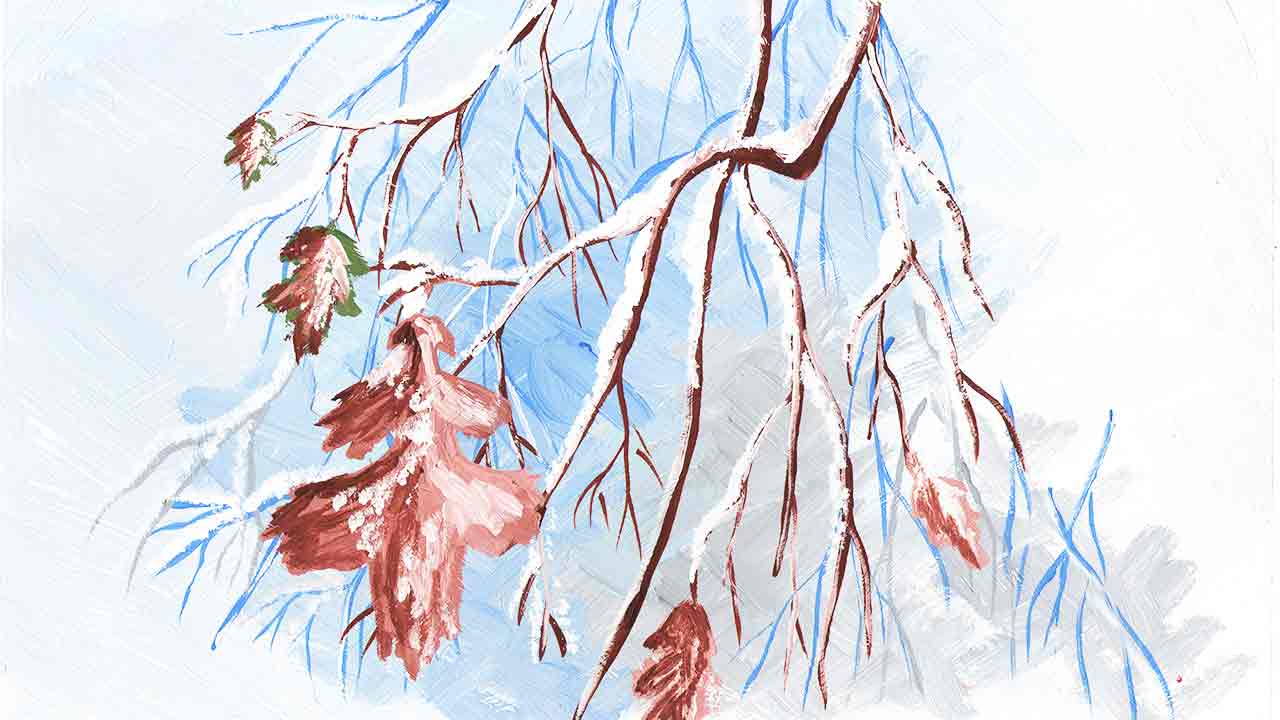 Уроки рисования зимних пейзажей
