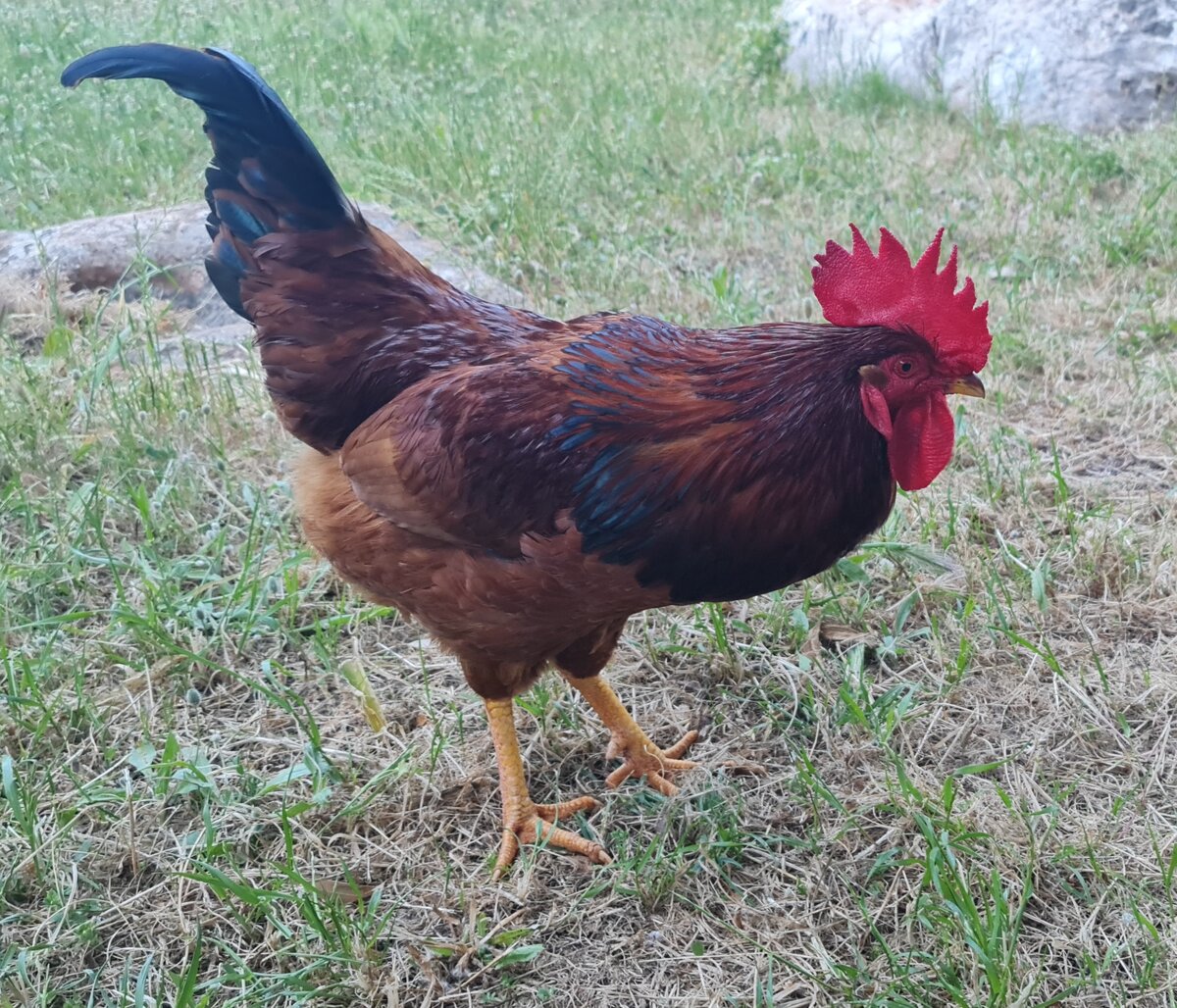 Ликийская тропа. Апрель 2021 