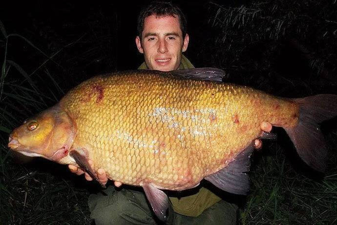 Горбатый и упитанный. О, так это же точное описание меня! 