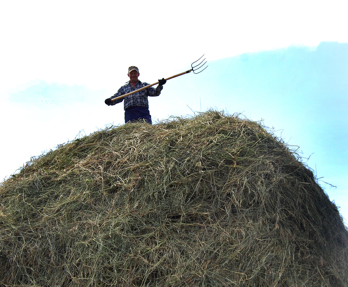 Фото: канал "Поэтика русской глубинки"