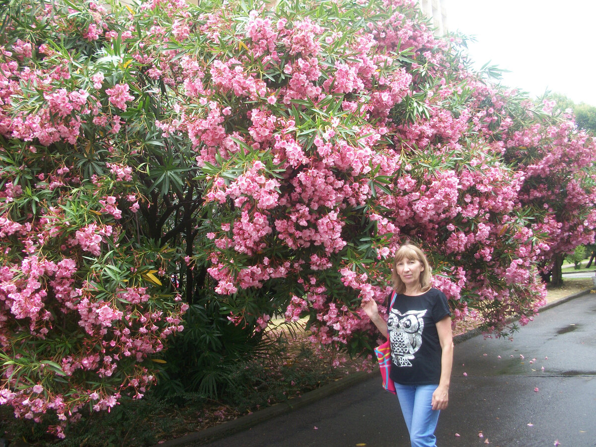 Вблизи океанариума в Адлере