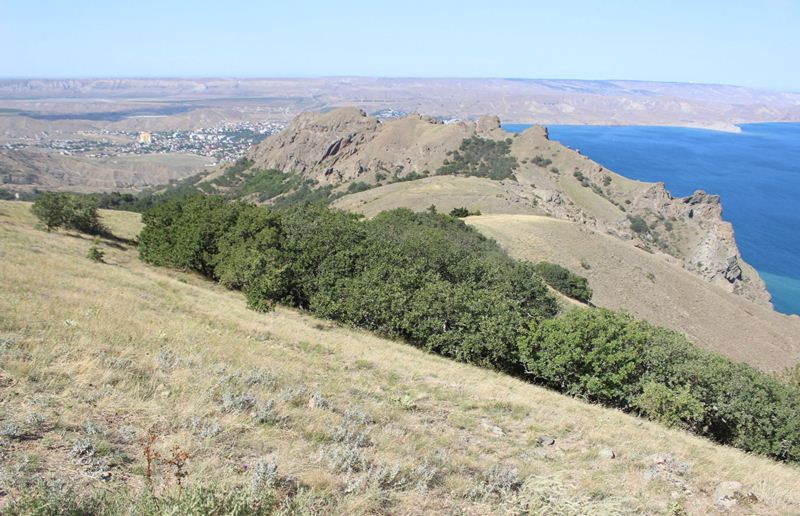 На Карадагский заповедник претендовали девелоперы