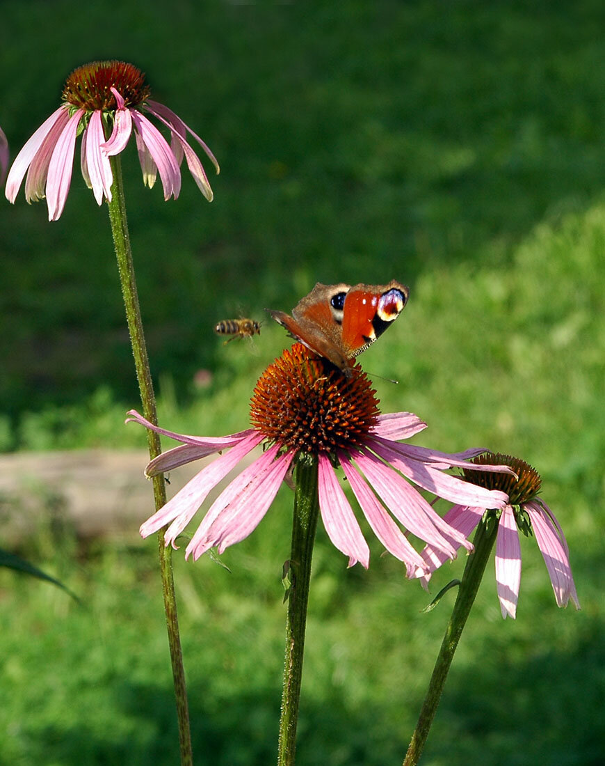 Посадочная полоса занята