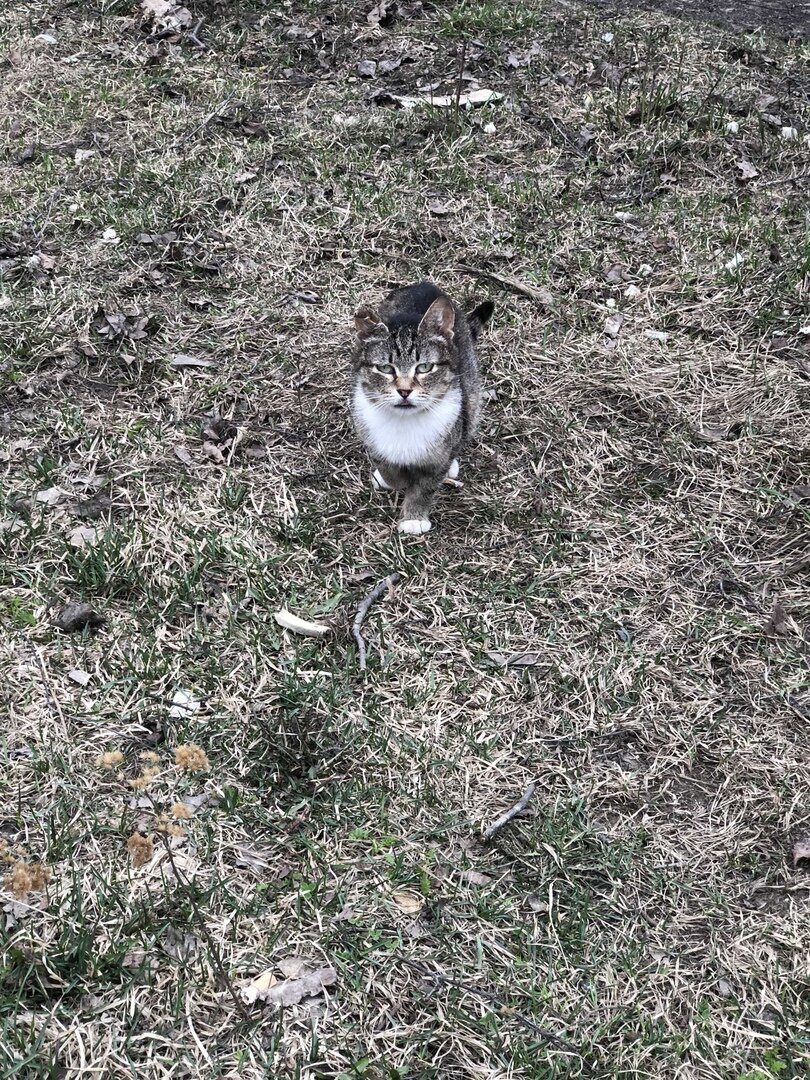 Огонек недалеко от дома