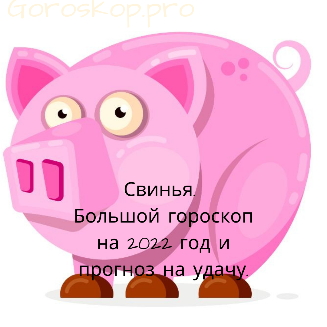 Свинья. Большой гороскоп на 2022 год и прогноз на удачу. | Goroskop Pro |  Дзен