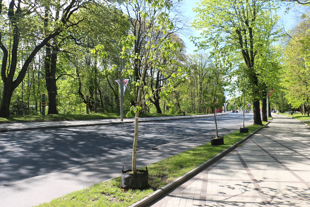 Гвардейский проспект к параду готов.