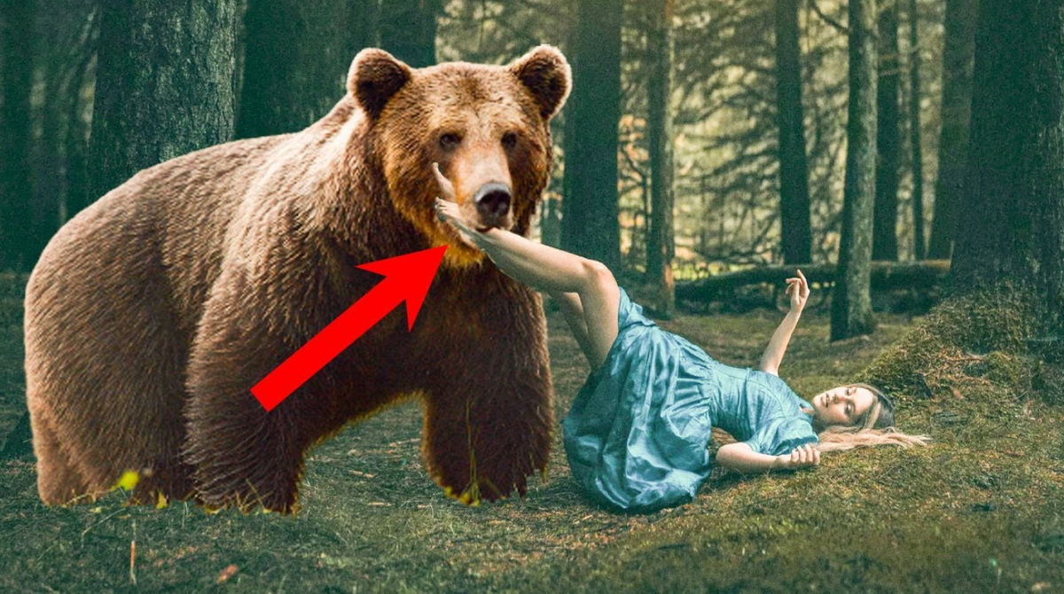 Добавьте описание