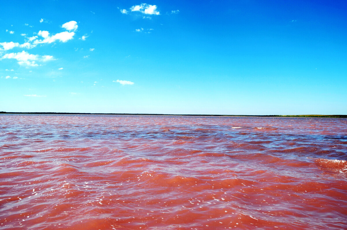 Погода в красной воде. Малиновое озеро (Михайловский район). Малиновое озеро Алтайский край Михайловский район. Малиновое озеро Алтай. Красное озеро Алтайский край.