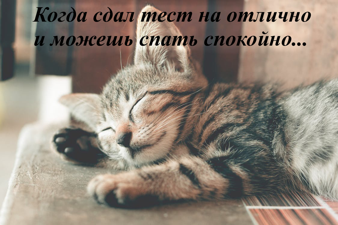 Здравствуйте, наши уважаемые читатели! English Cats снова на связи! Сегодня мы решили устроить тест для всех любителей проверки собственных знаний.