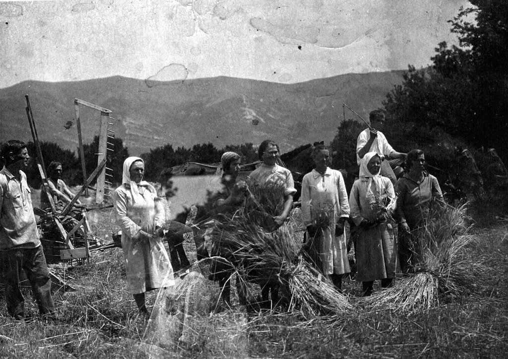 Уборка урожая, фото с сайта m.russiainphoto.ru/exhibitions/859/