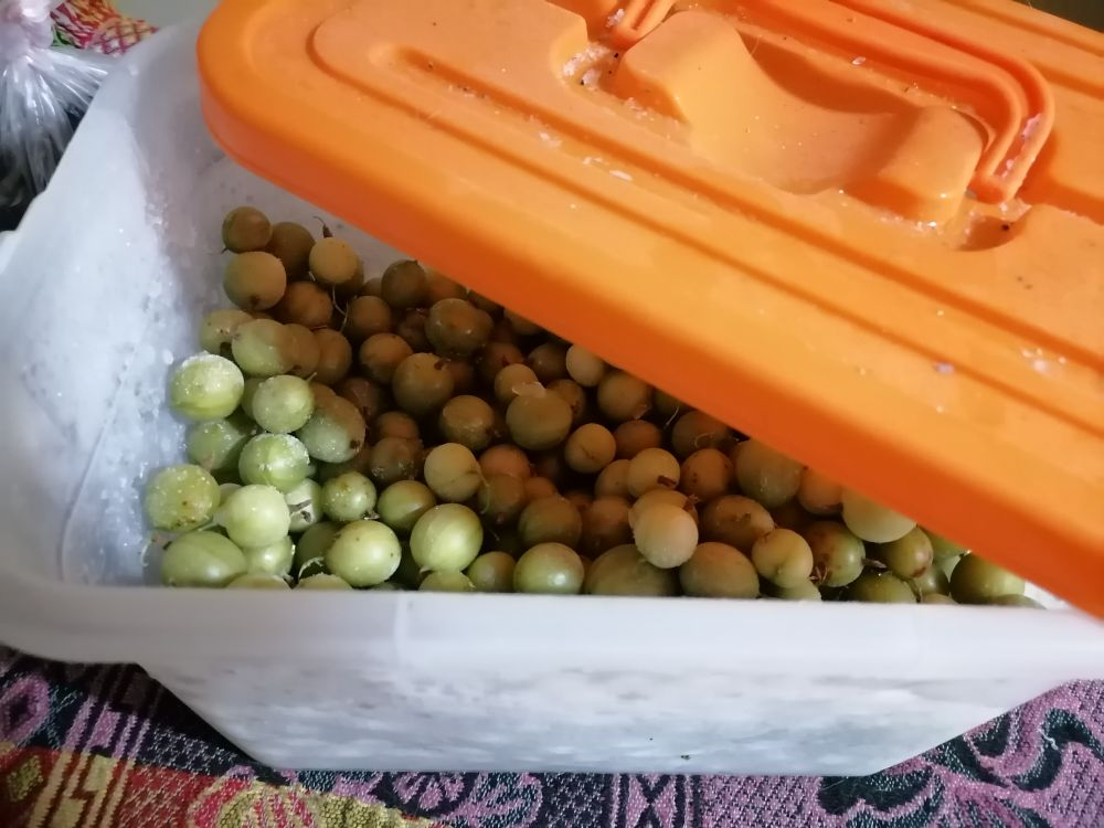 Замороженный крыжовник для компота