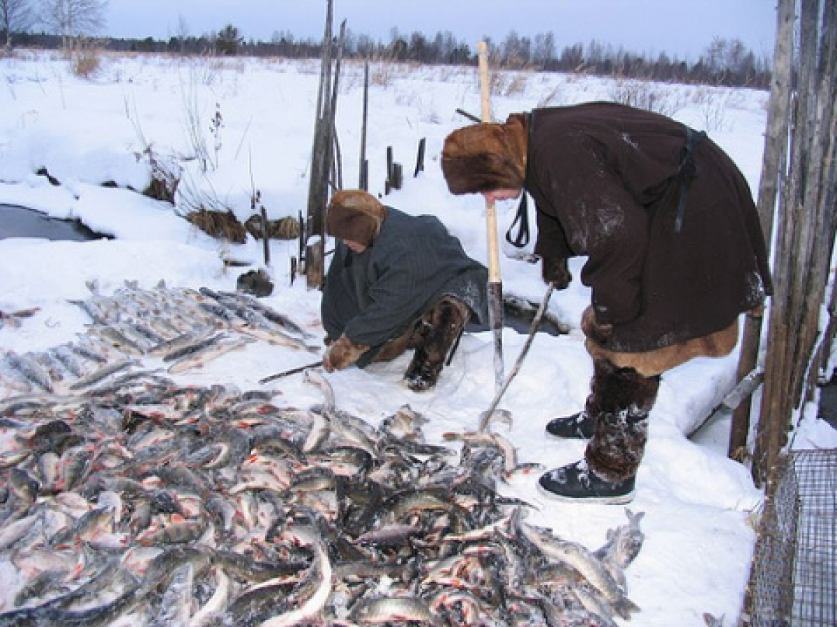 Рыболовством занимаются народы