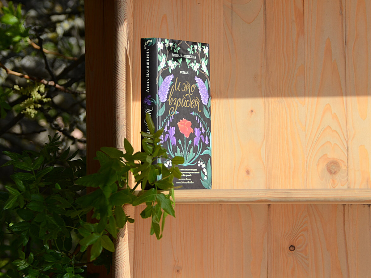 Анна Бабяшкина, роман "И Это Взойдёт": Издательство ПЛАНЖ 2022