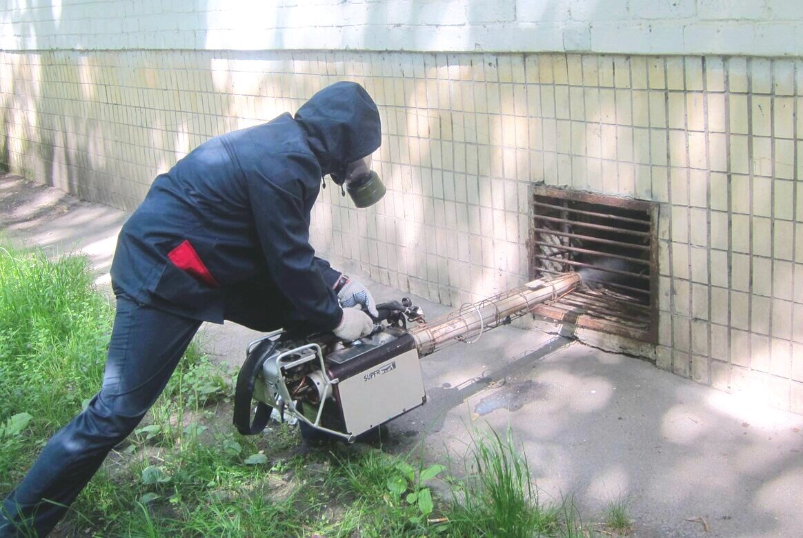 уничтожение блох в подвале