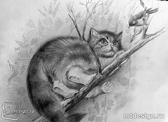 Яндекс картинки