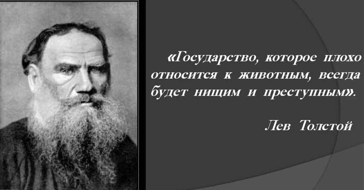 Еще где похуже. Цитаты Льва Толстого о животных. Цитаты л н Толстого. Толстой цитаты. Лев Николаевич толстой цитаты