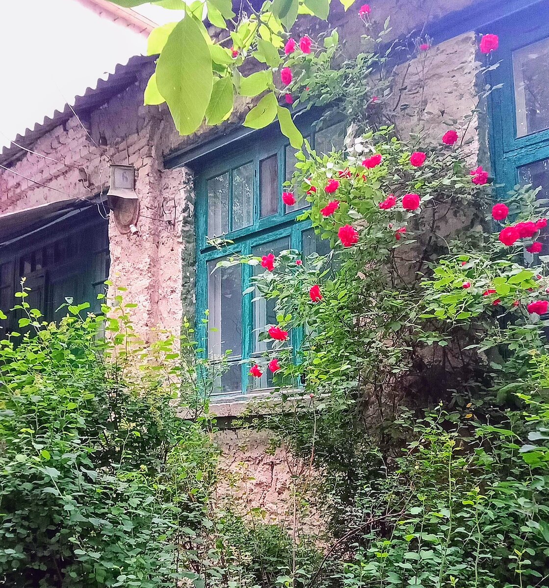 Очаровательно, конечно, но как там жить...