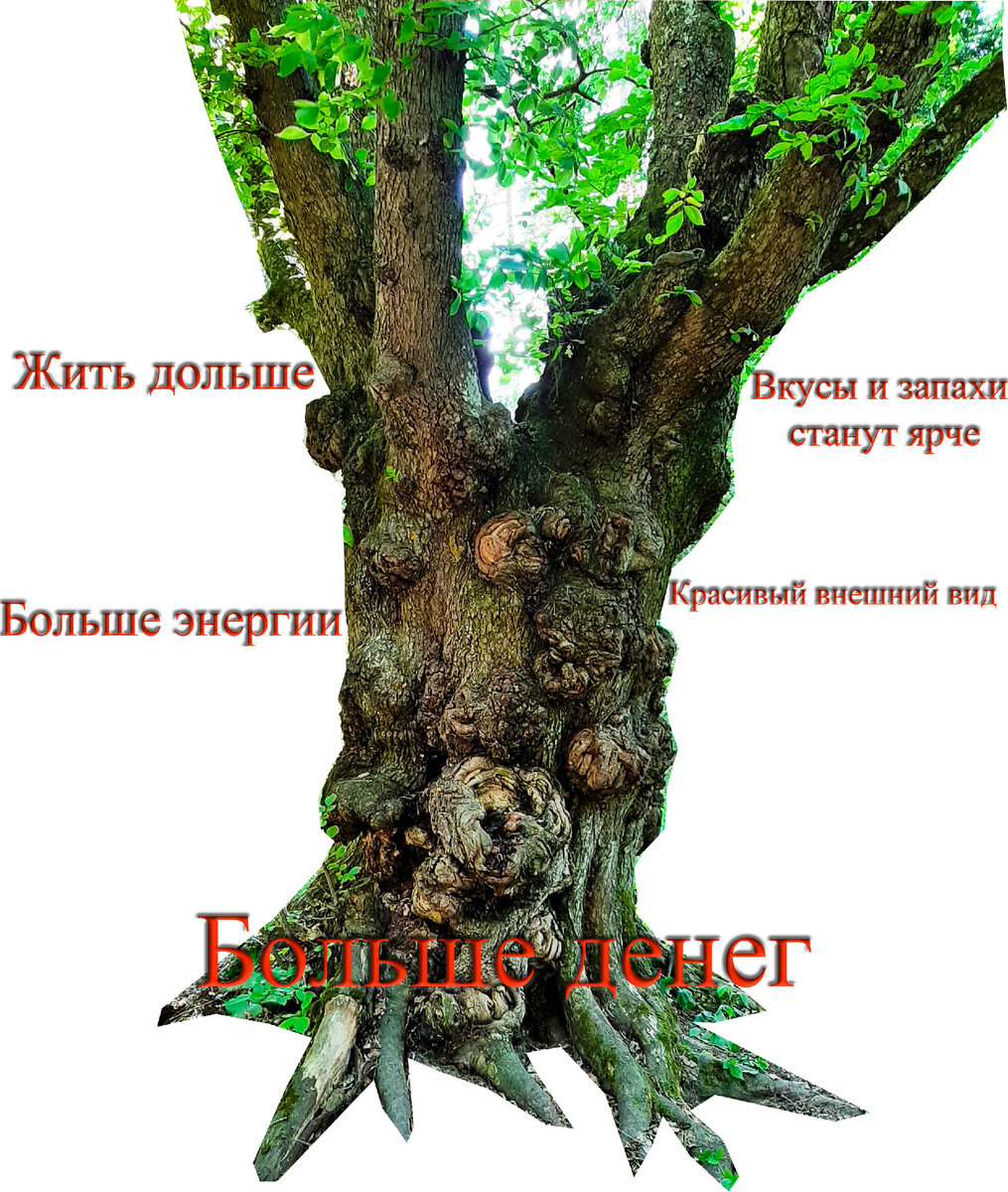 Топ 5 плюсов отказа от курения