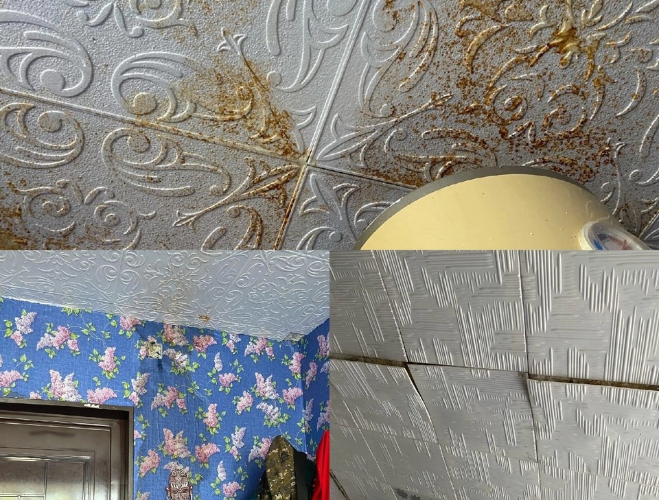     Фото: Жесть Коми
