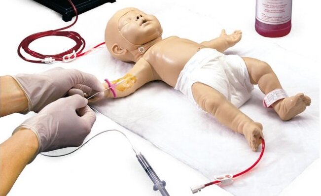 Фото: www.anatomicke-pomucky.