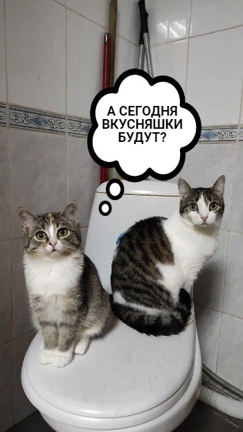 Любаша и Джессика