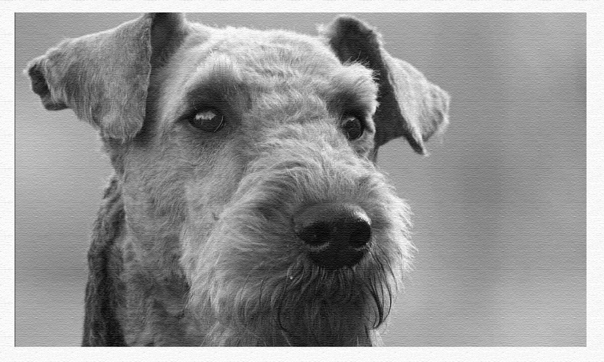 Фото из свободного доступа сети Интернет