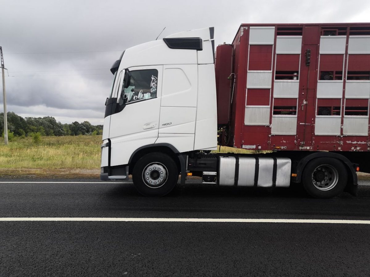    Ширина проезжей части составляет от 9 до 15 метров Пресс-релиз