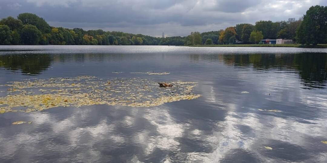 Дед боролся за свою внучку, и не отдал её никому
