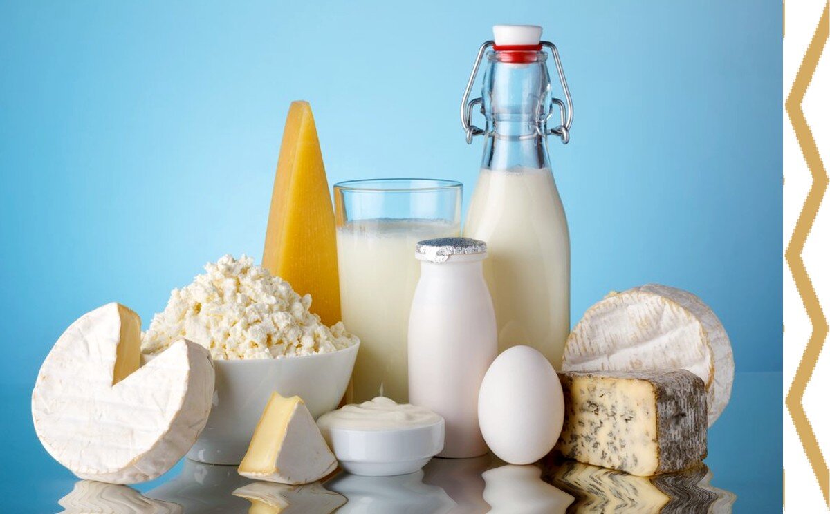 молочные продукты и яйца - отличный источник белка