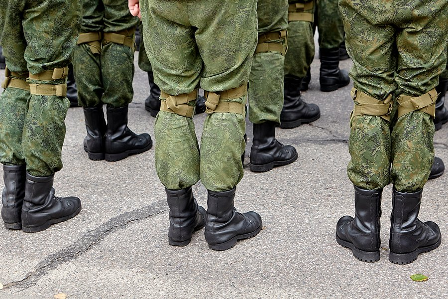                                              Фото: Vital Hil/shutterstock.com 