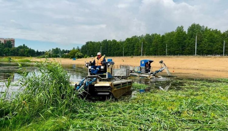 Фото: Пресс-служба Смольного