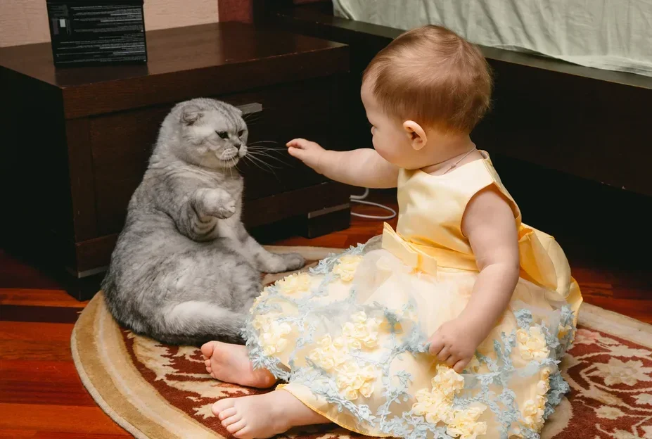 Полина и Сеня Котофеич в младенческие времена 


