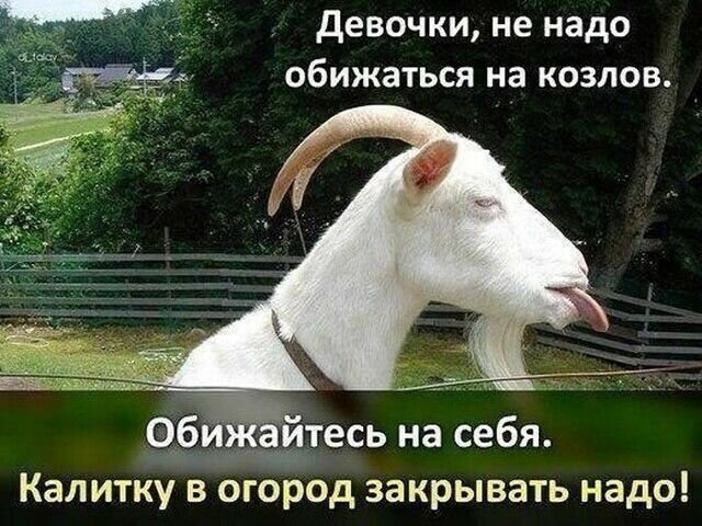 источник Яндекс-картинки