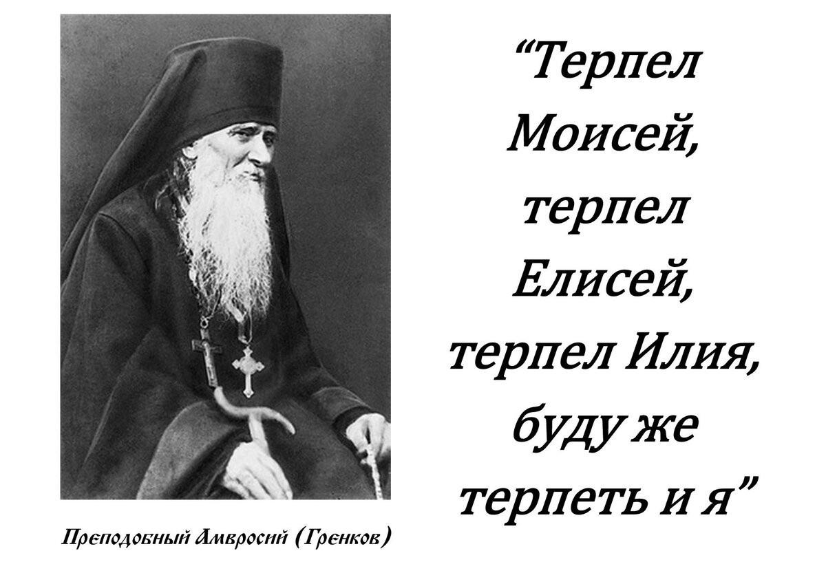 фото из открытого источника Яндекс. Картинки.