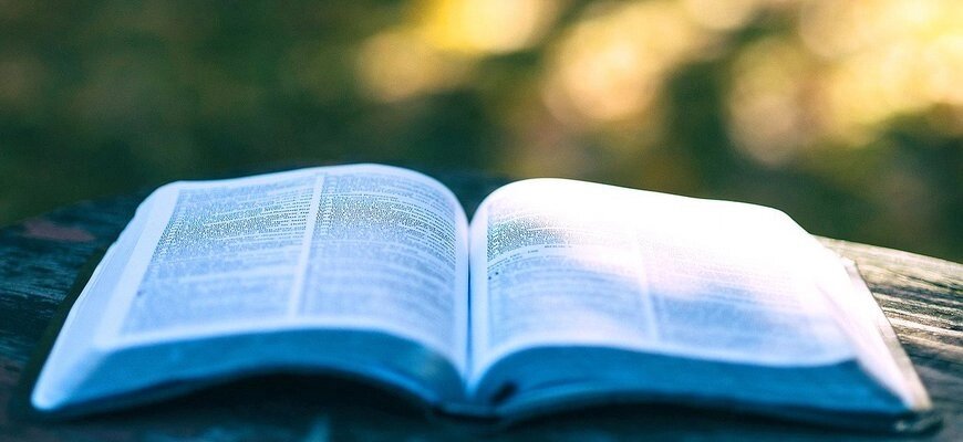 Правительство РФ внесло законопроект в Госдуму о защите русского языка duma.gov.ru