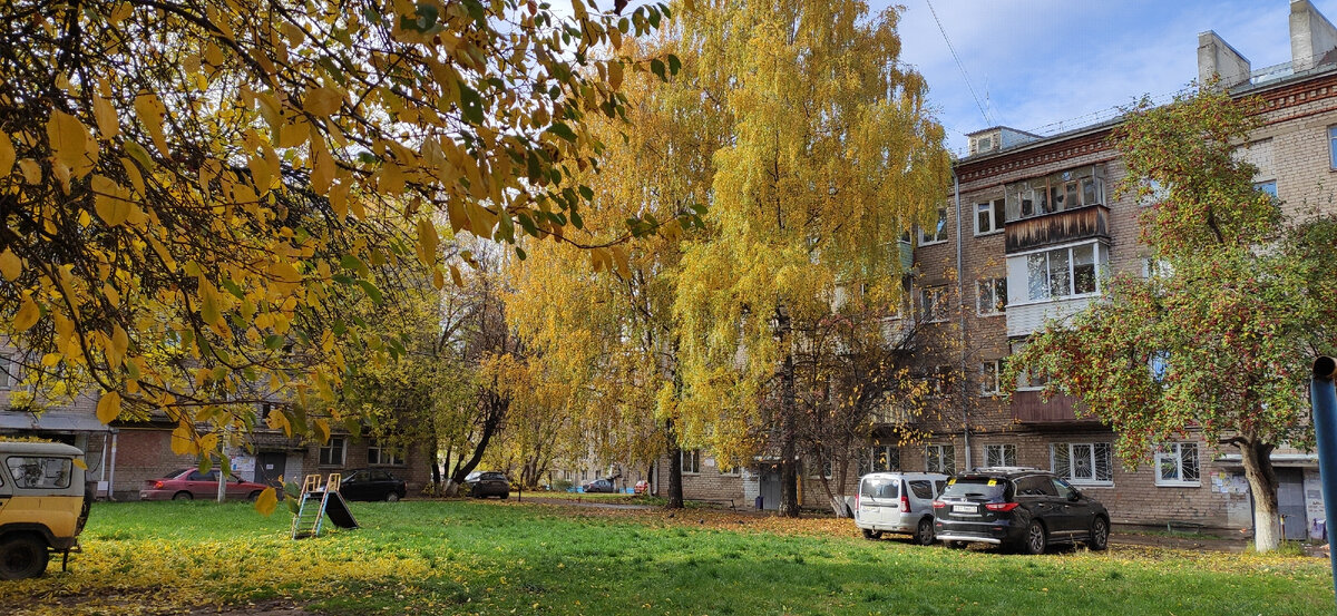 Многообразие красок осени