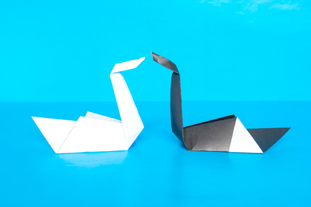 Черное или белое? Или все же есть и другие цвета?