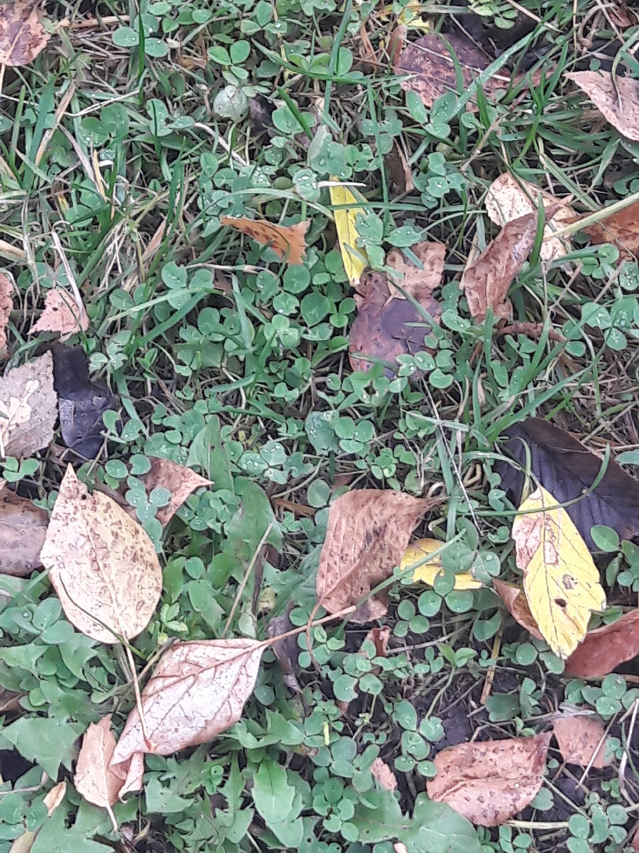 Встречать утро каждый день