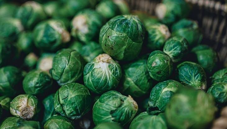    Пестицидов больше нет: Швейцария остается без брюссельской капусты