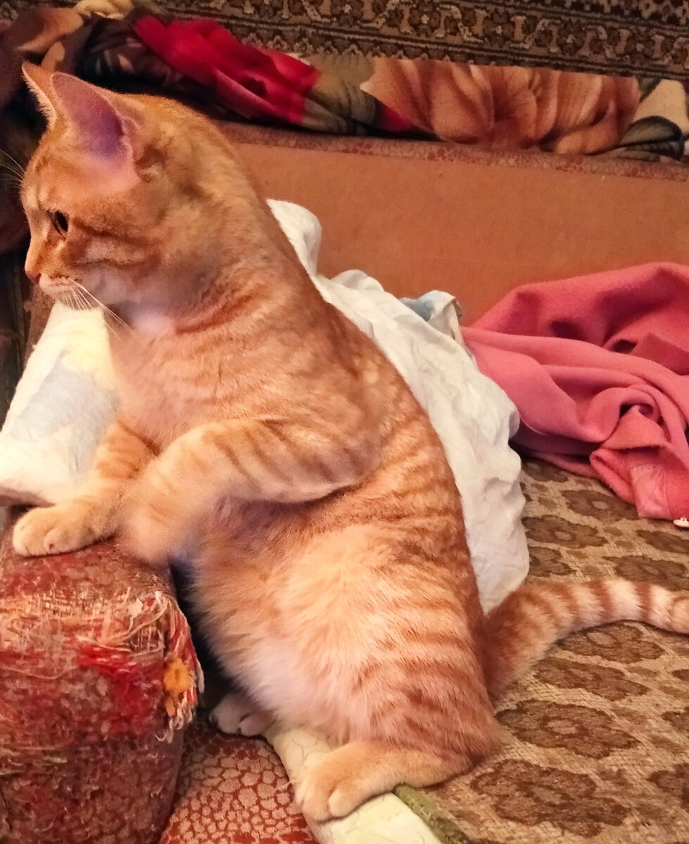 Личное  фото