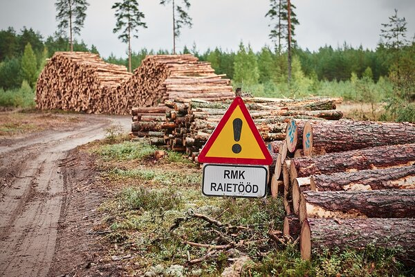 Фото взято из свободных источников