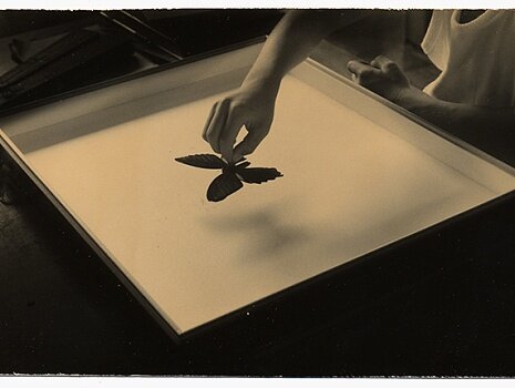 Из серии «Наказора» ©Yamamoto Masao, Courtesy of Etherton Gallery, Arizona U.S.A.​