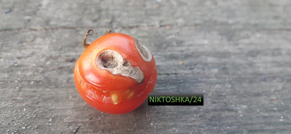 Всевидящее око. Фото сделано лично мной.