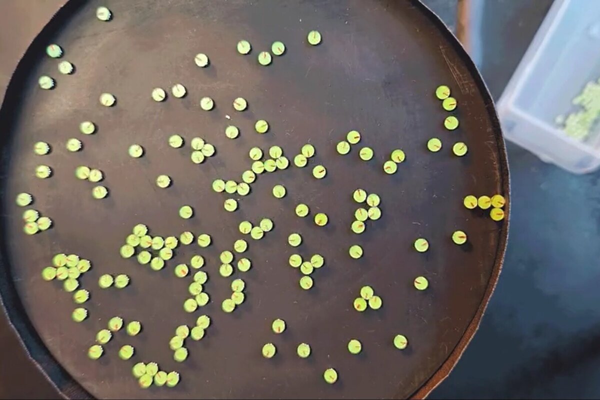     Управляемый рой микророботов может проводить диагностику, доставлять лекарство и даже делать операции