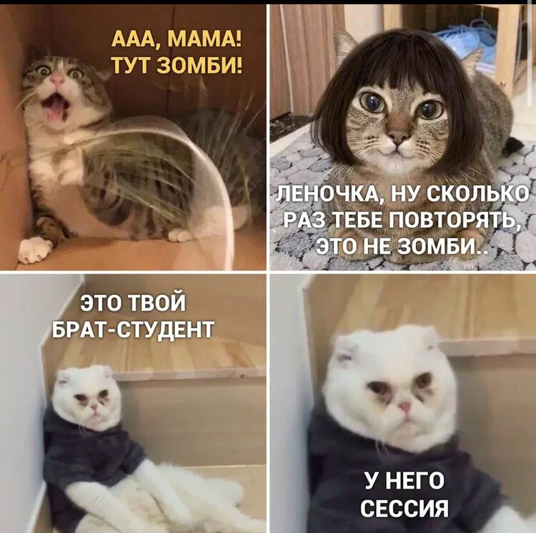 Похоже)