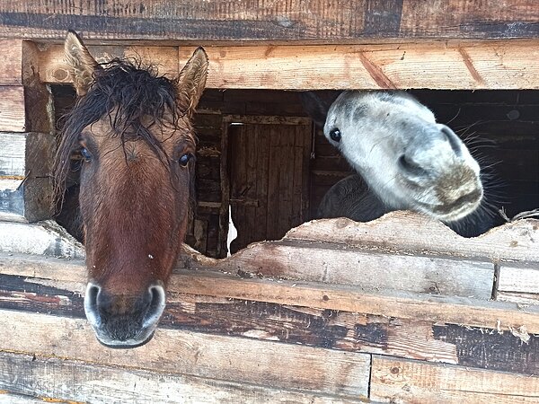     фото: Дмитрия Кочеткова