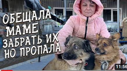 Спасение животных / 2 отказника из Серова / Должна была забрать но исчезла