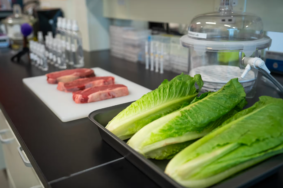     Продукты питания теперь можно консервировать безопасно для здоровья