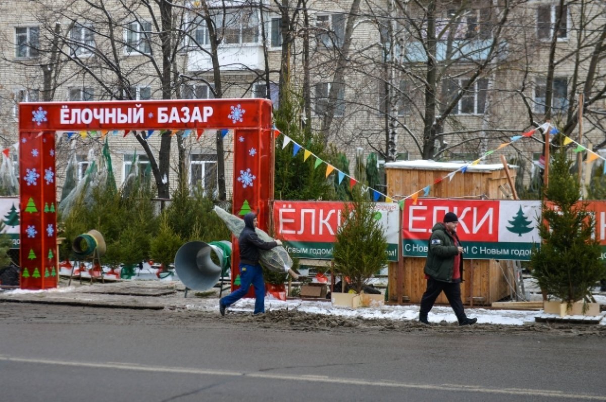    В Новосибирске откроются 36 первых ёлочных базаров